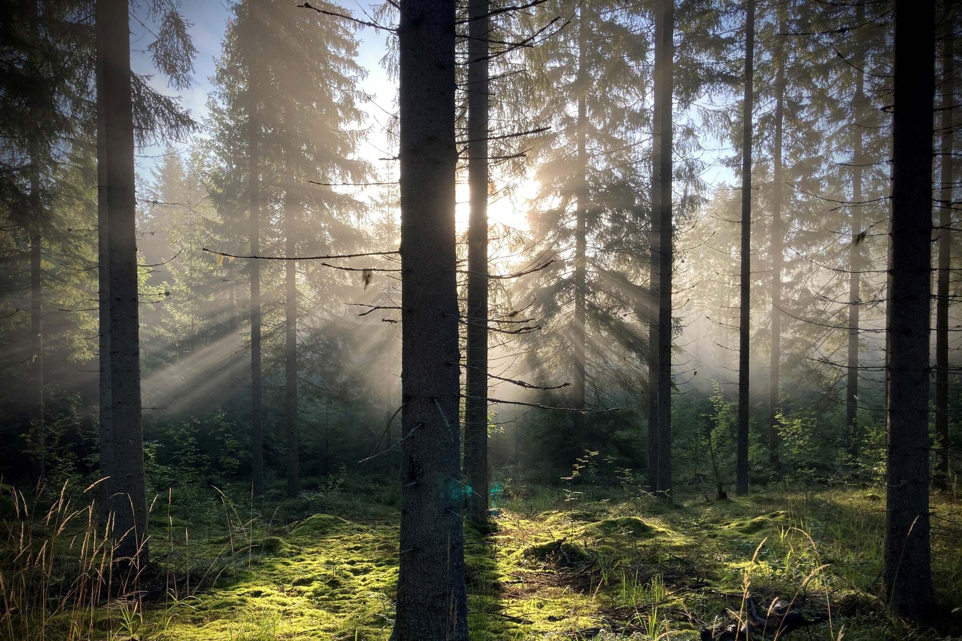 Moderni älykoti sisätilat ja valaistusratkaisut